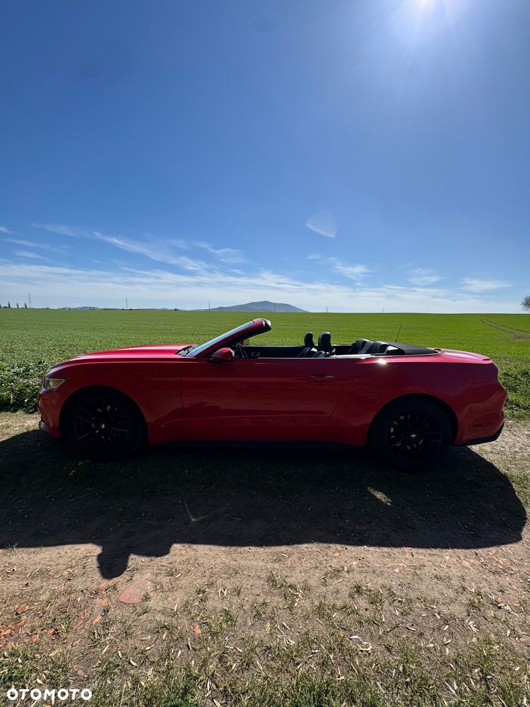 Ford Mustang Cabrio 2.3 Eco Boost - 15
