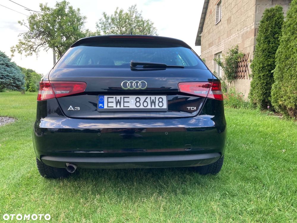 Audi A3 3-drzwiowe 1.6 TDI - 17