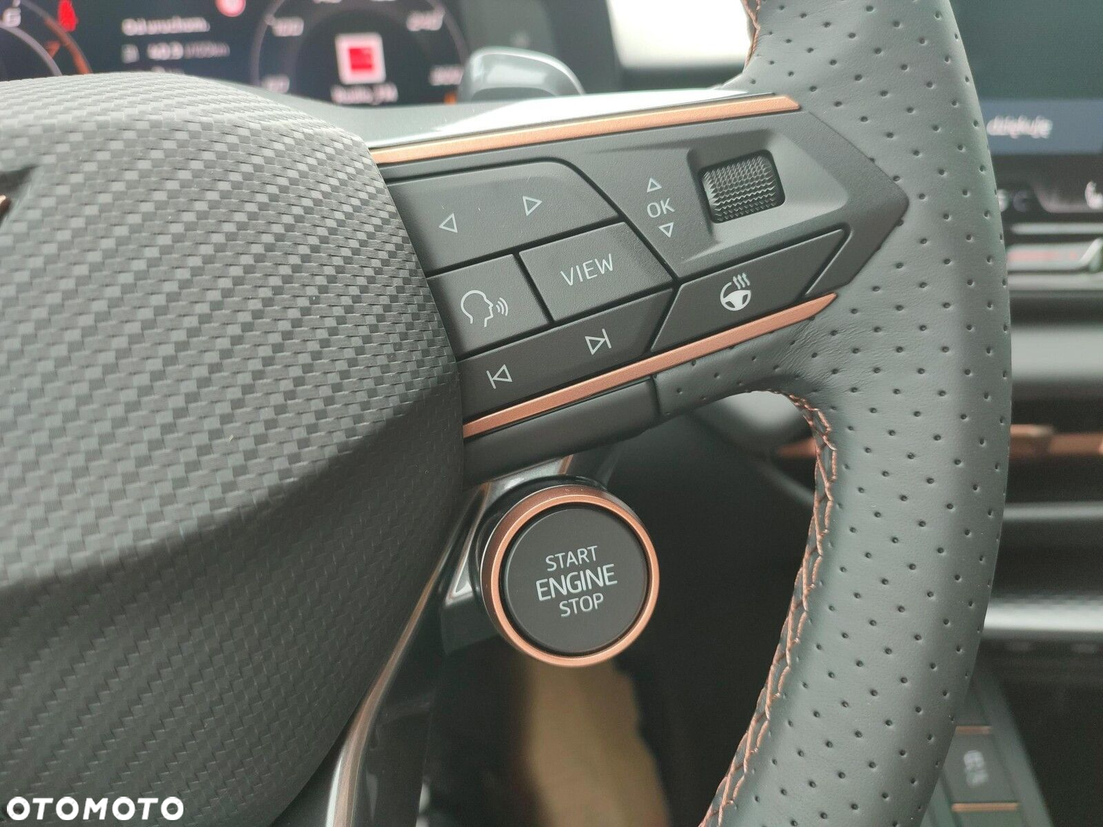 Cupra Terramar - 26