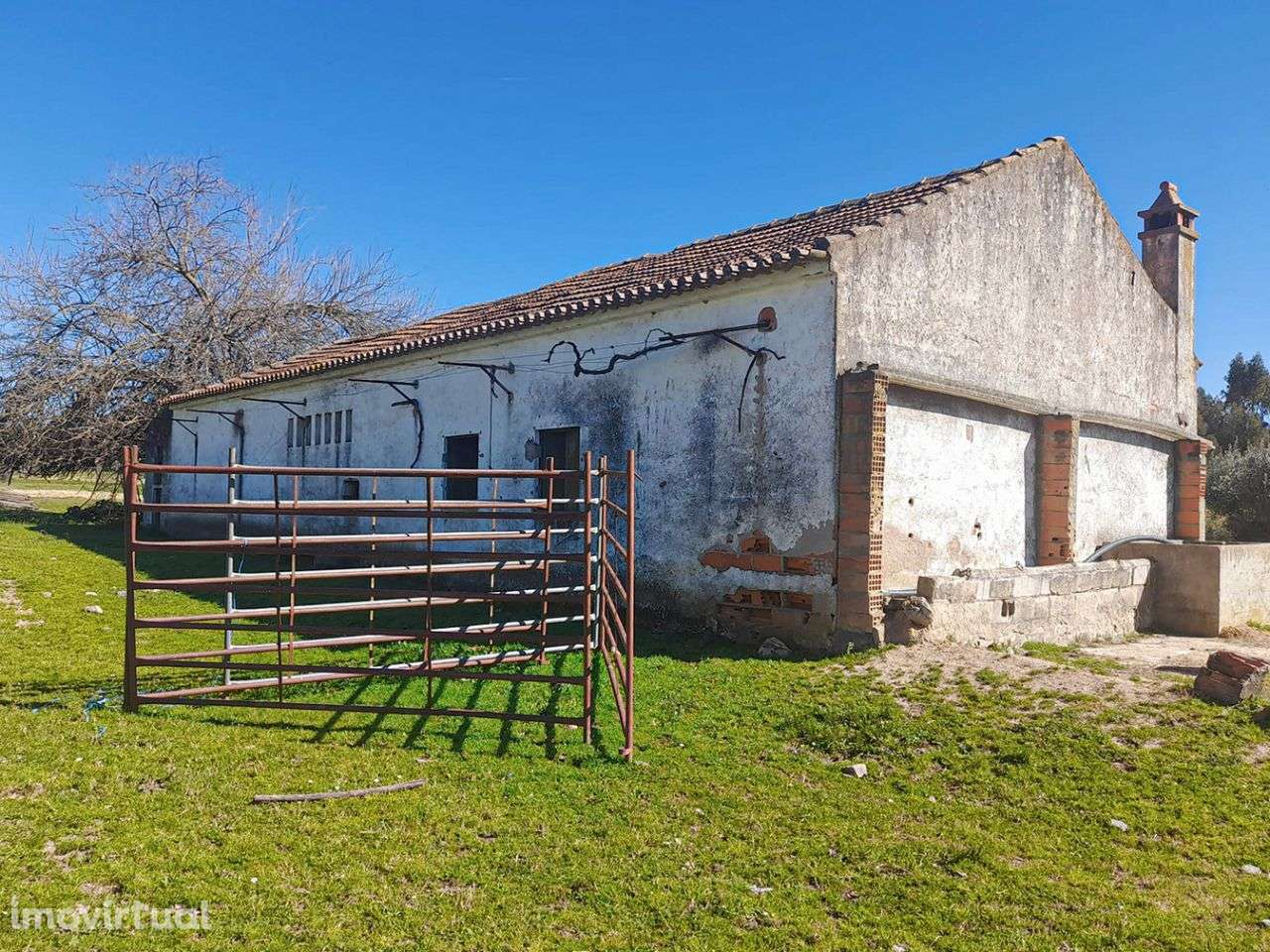 Quinta - Grande imagem: 4/10