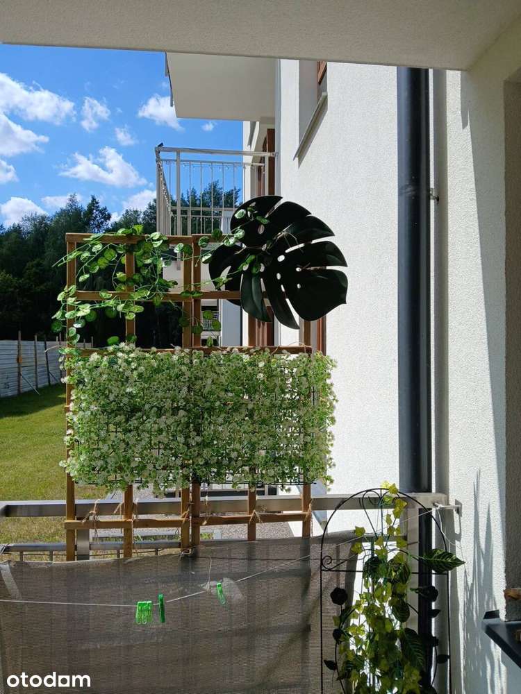 Dwupokojowe mieszkanie z balkonem i piwnicą GRATIS