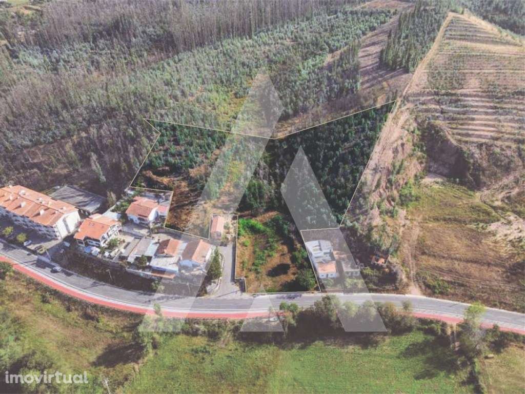 Terreno com 11.000 m² em Frossos - Albergaria-a-Velha - Grande imagem: 2/16