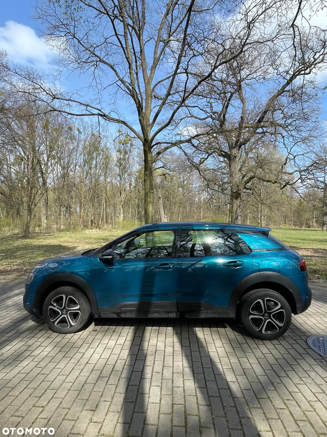 Citroën C4 Cactus 1.2 PureTech GPF Feel Pack - 2
