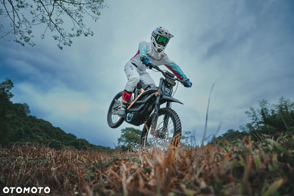 79Bike Falcon Pro - 35