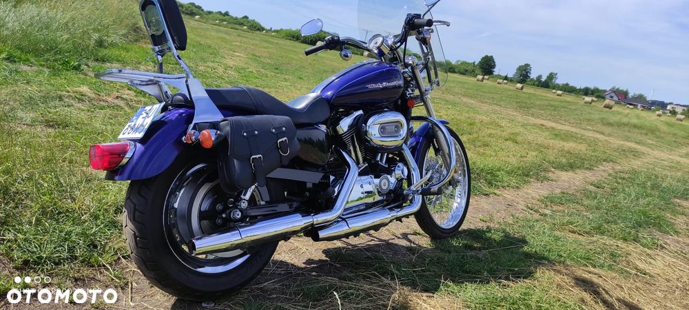 Harley-Davidson Sportster Custom 1200C - 3