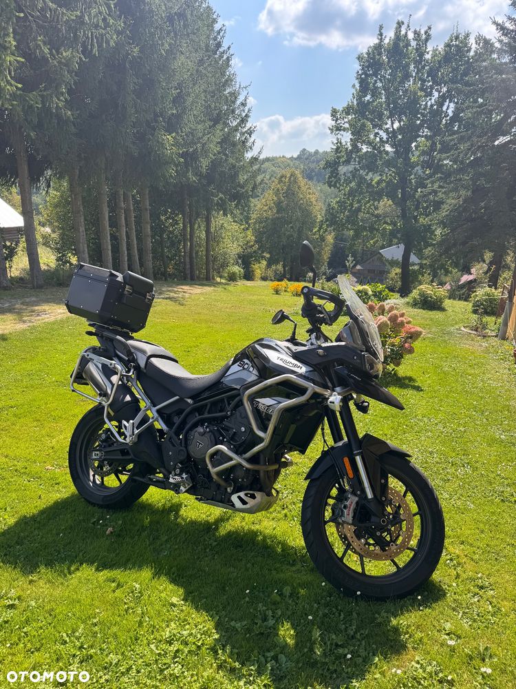 Triumph Tiger - 1