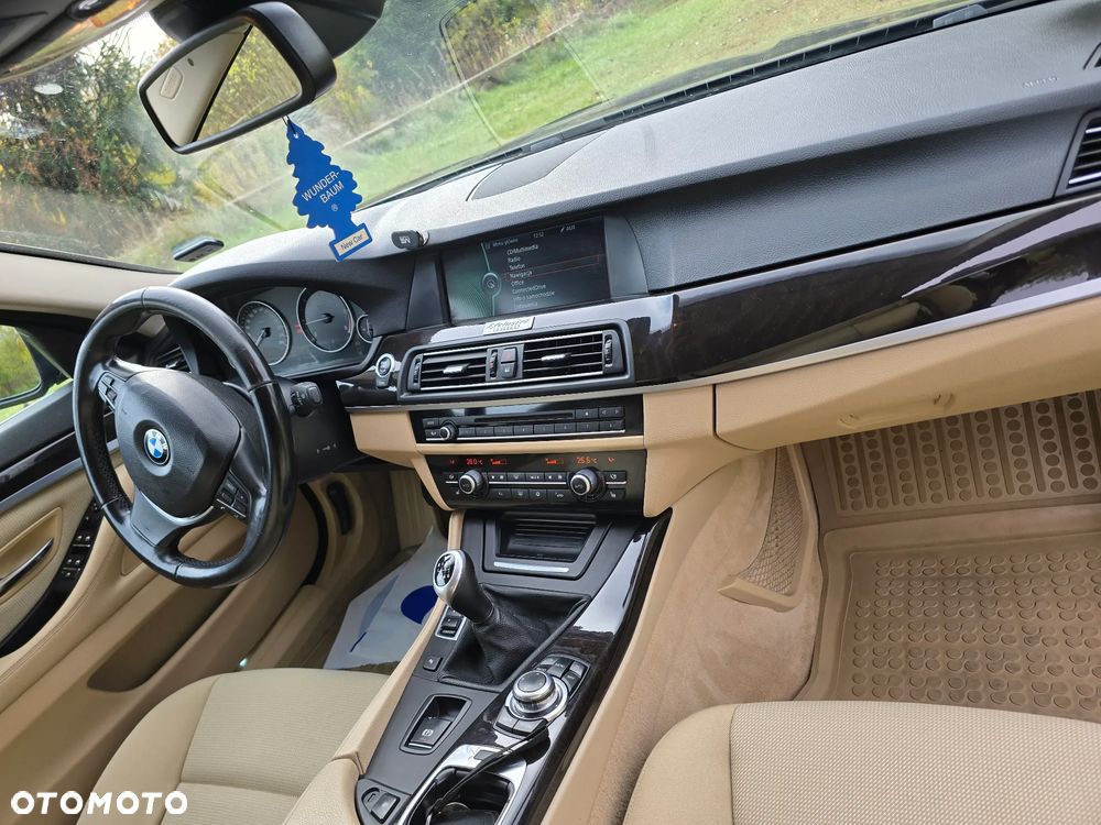 BMW Seria 5 520d - 10
