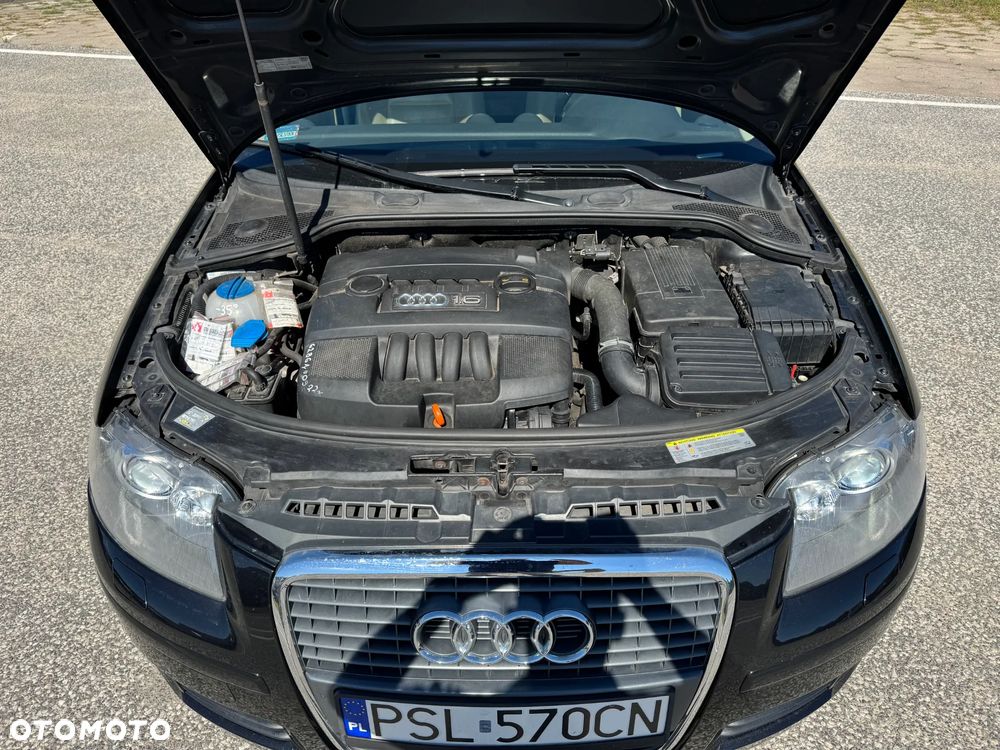 Audi A3 1.6 Ambiente - 6