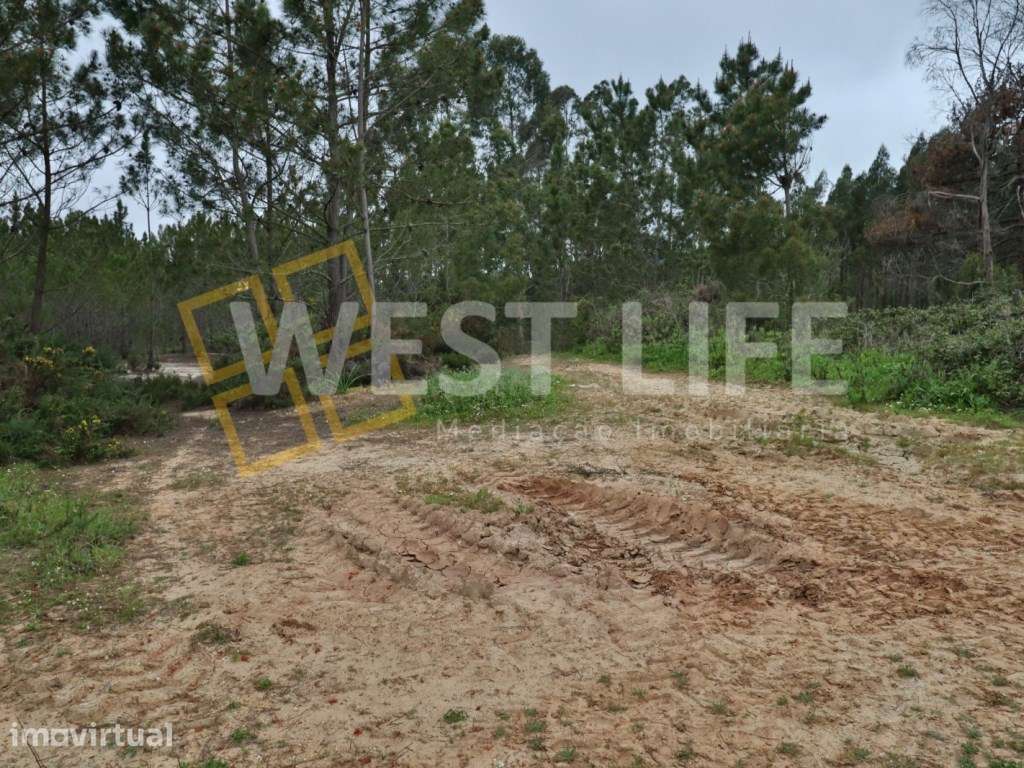 Terreno no Sobral de Abelheira - Terreno rústico de 5025m2 - Grande imagem: 2/10