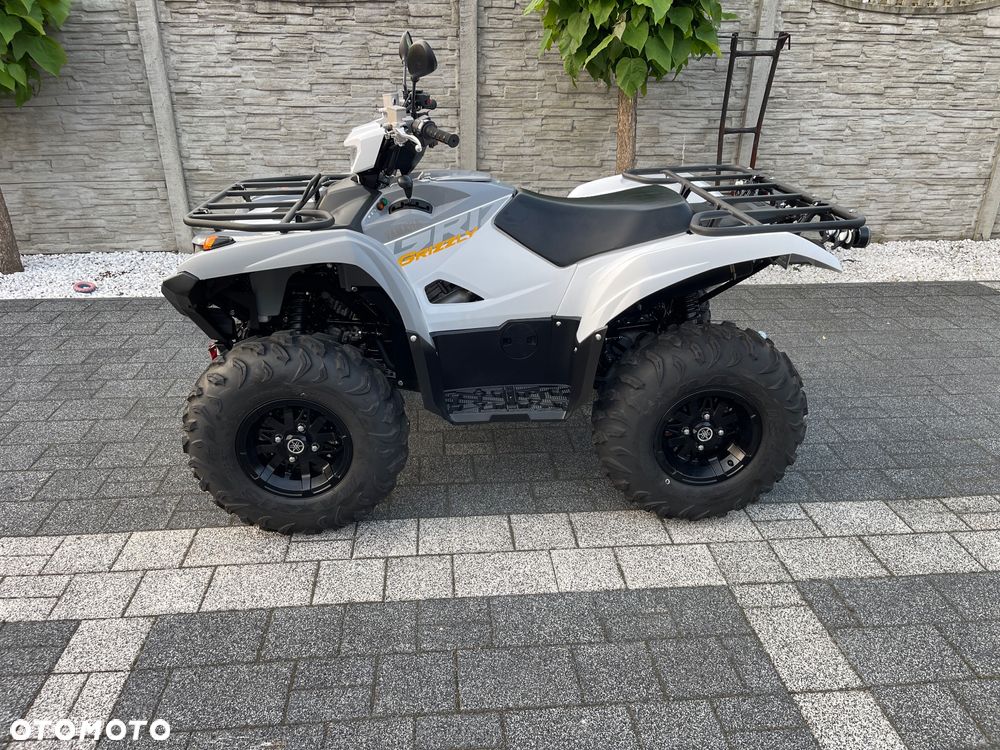 Yamaha Grizzly - 10
