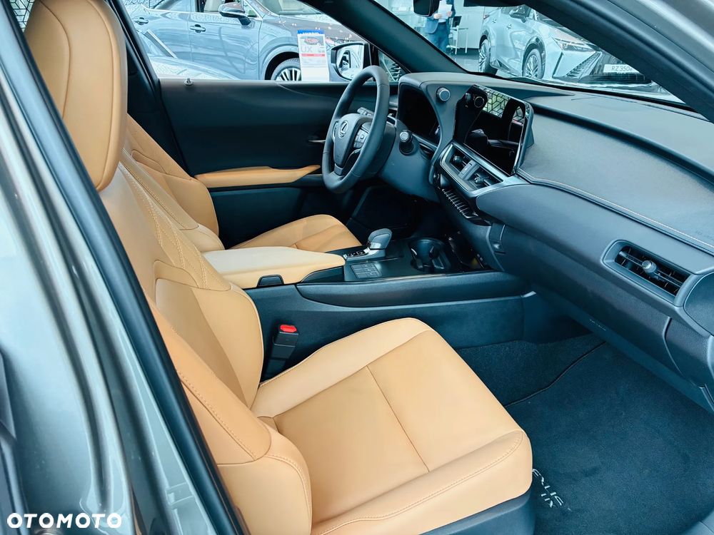 Lexus UX 300h F Sport Design - 13
