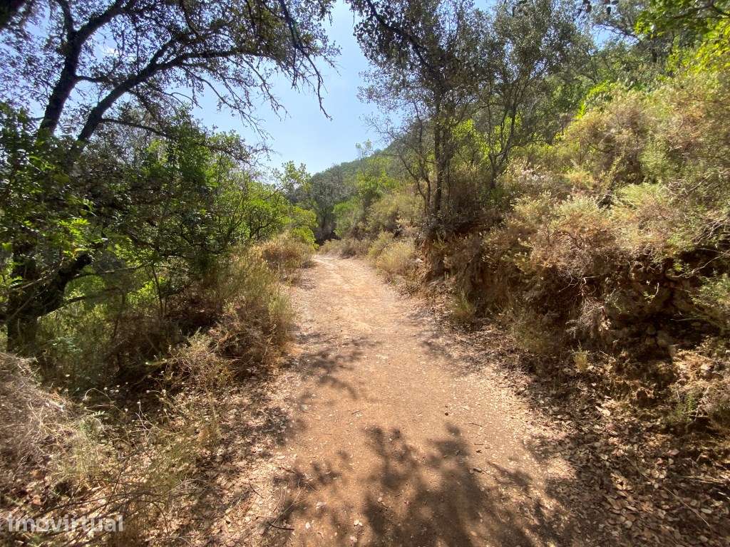 Lote de terreno rústico na Fonte da Benémola, Loulé, Algarve - Grande imagem: 4/25