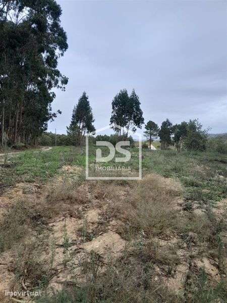 Terreno urbanizável -  Famalicão - Nazaré - Grande imagem: 5/6