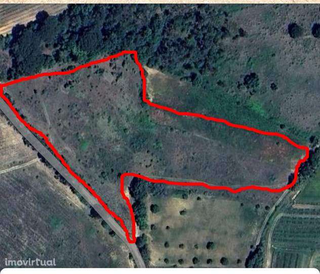 Terreno  Venda em Olaia e Paço,Torres Novas - Grande imagem: 5/8