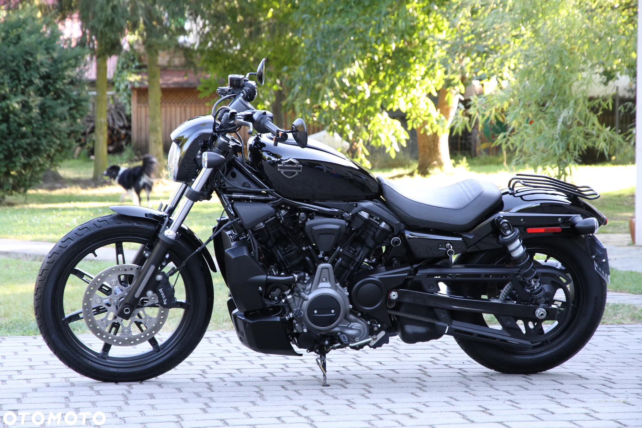 Harley-Davidson Sportster Nightster 975 - 7