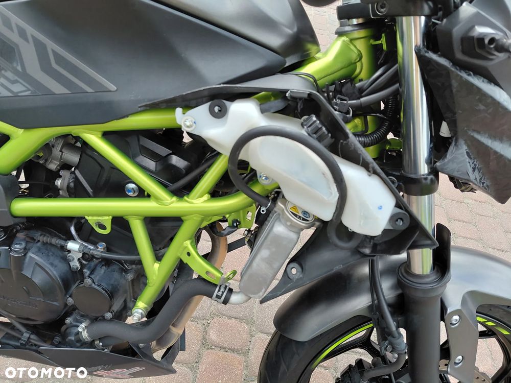 Kawasaki Z - 11