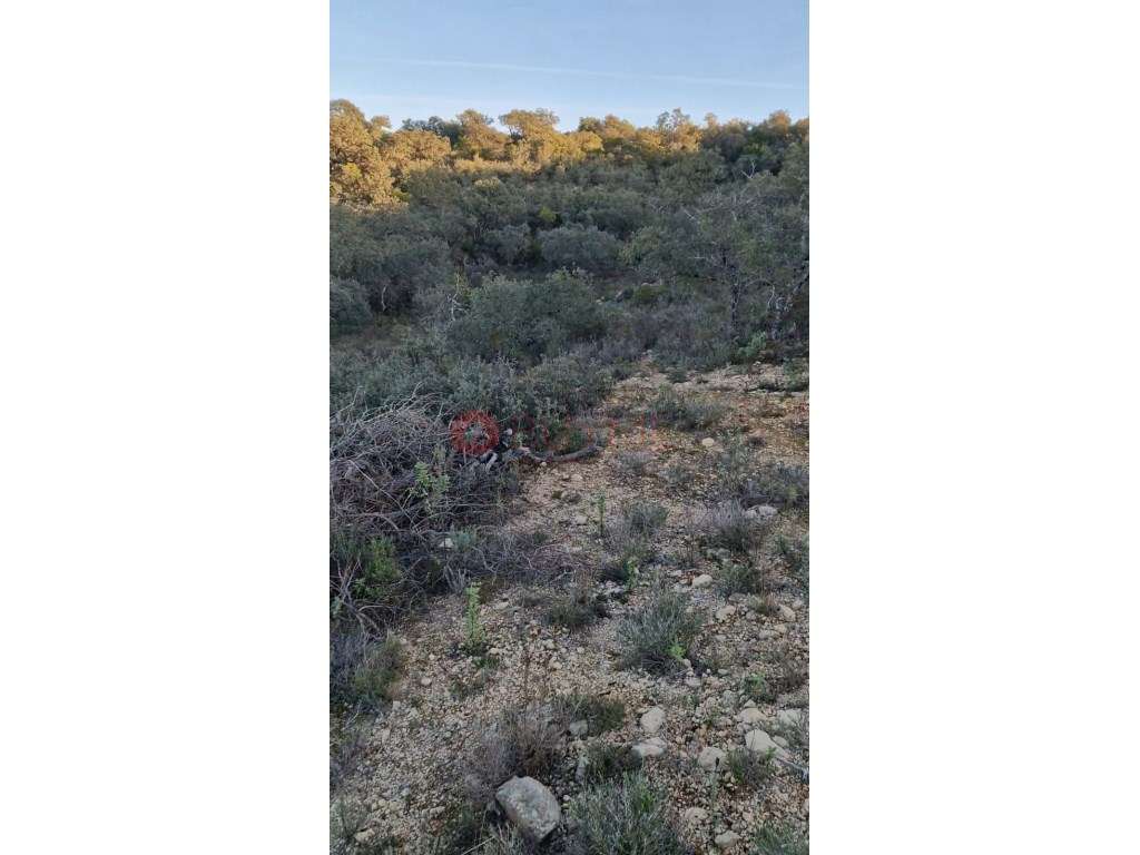 Terreno Rústico de 5.700m² em Loulé, Próximo da Cidade - Grande imagem: 5/7