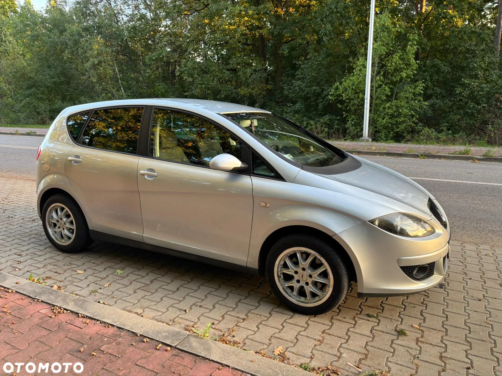 Seat Altea 1.6 Reference Comfort - 8