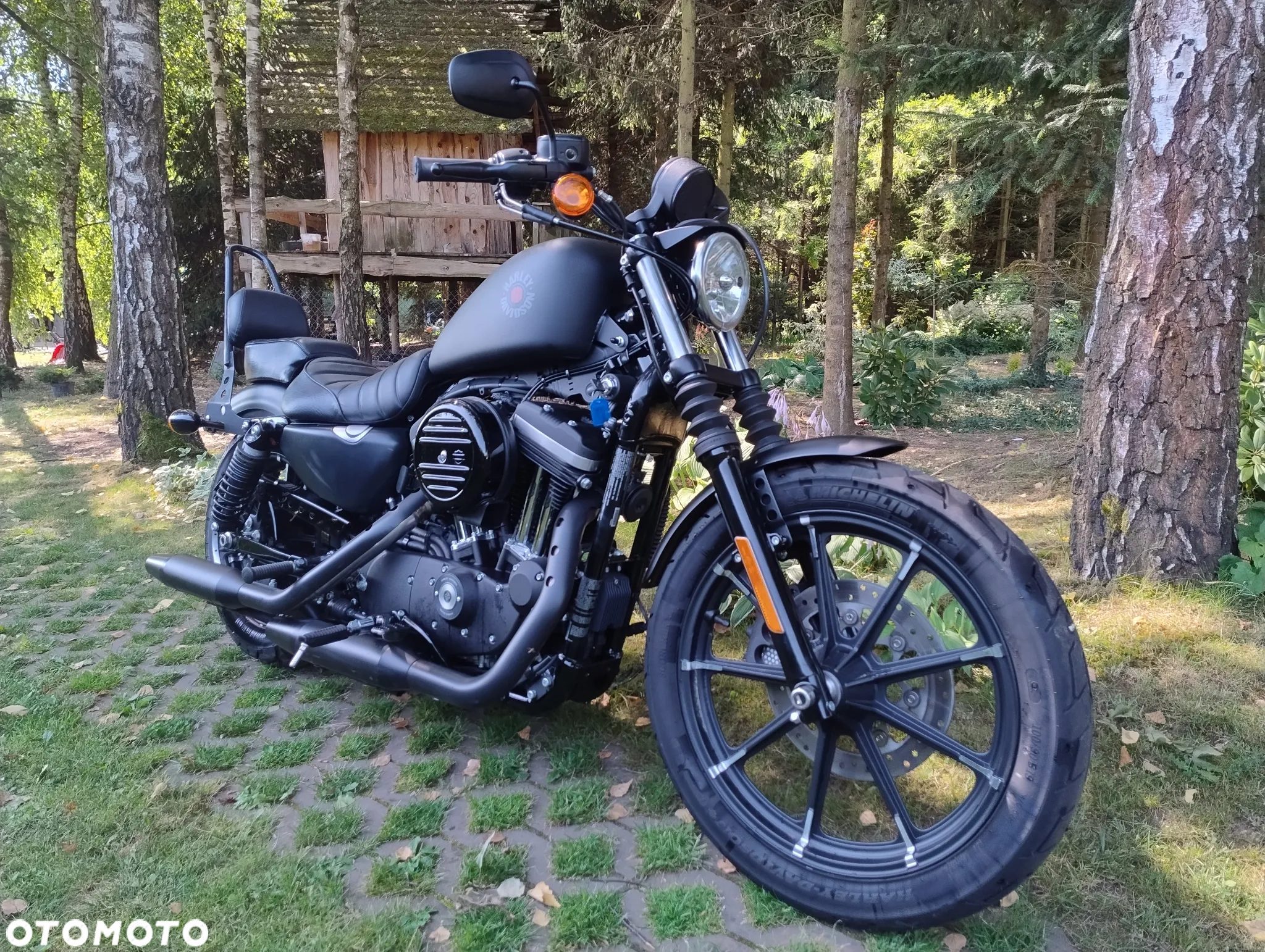 Harley-Davidson Sportster Iron 883 - 7