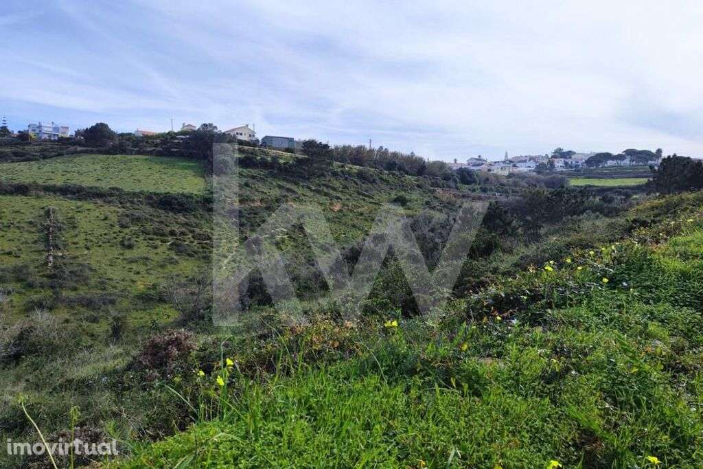 Terreno Carvoeira - Grande imagem: 4/18