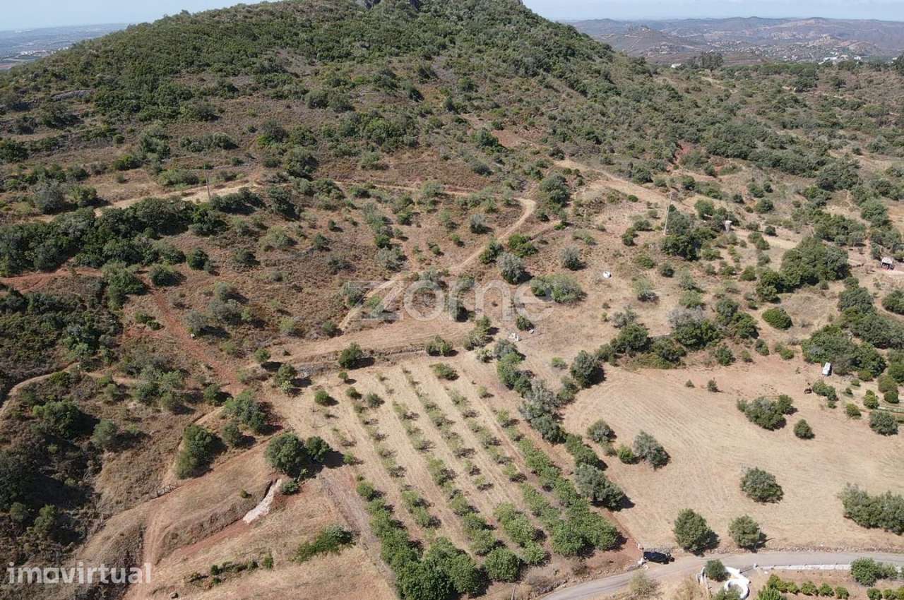 Terreno Rústico em Amorosa com poço de água e 27.160m2 de área - Grande imagem: 2/35