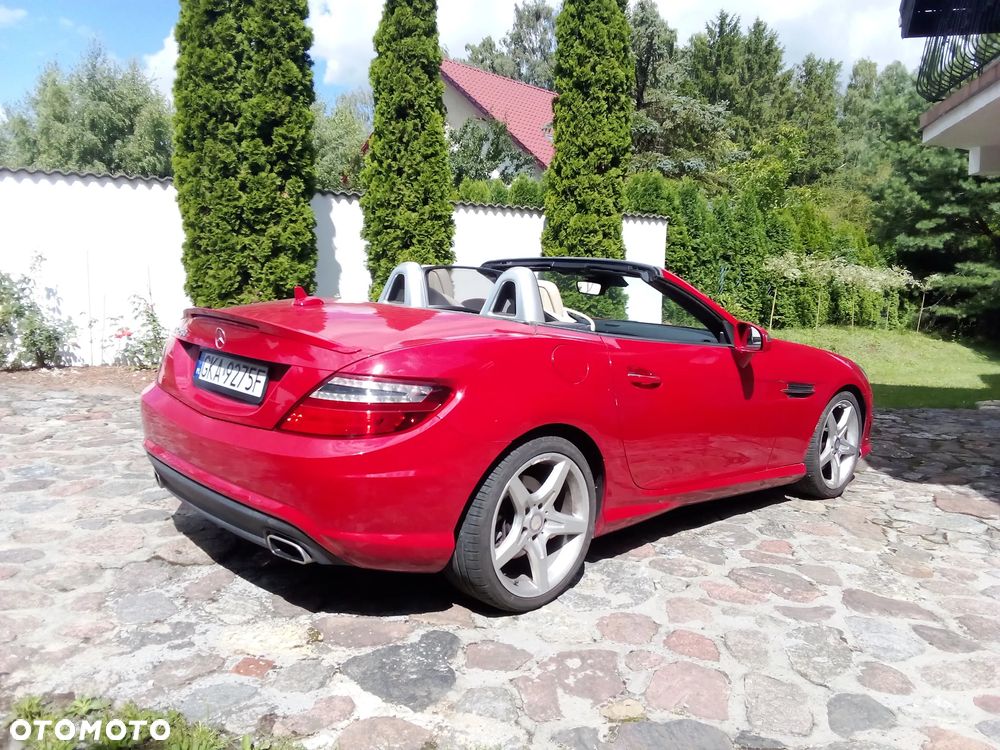 Mercedes-Benz SLK 250 (BlueEFFICIENCY) 7G-TRONIC - 16