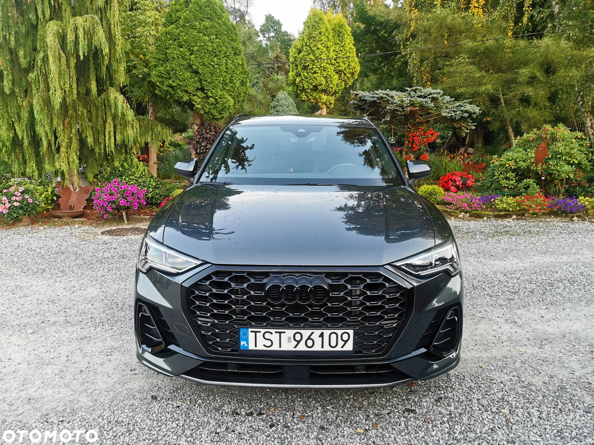 Audi Q3 45 TFSI e S Line S tronic - 39