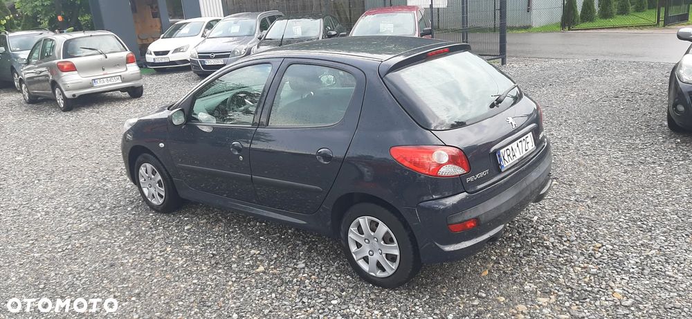 Peugeot 206 plus - 21