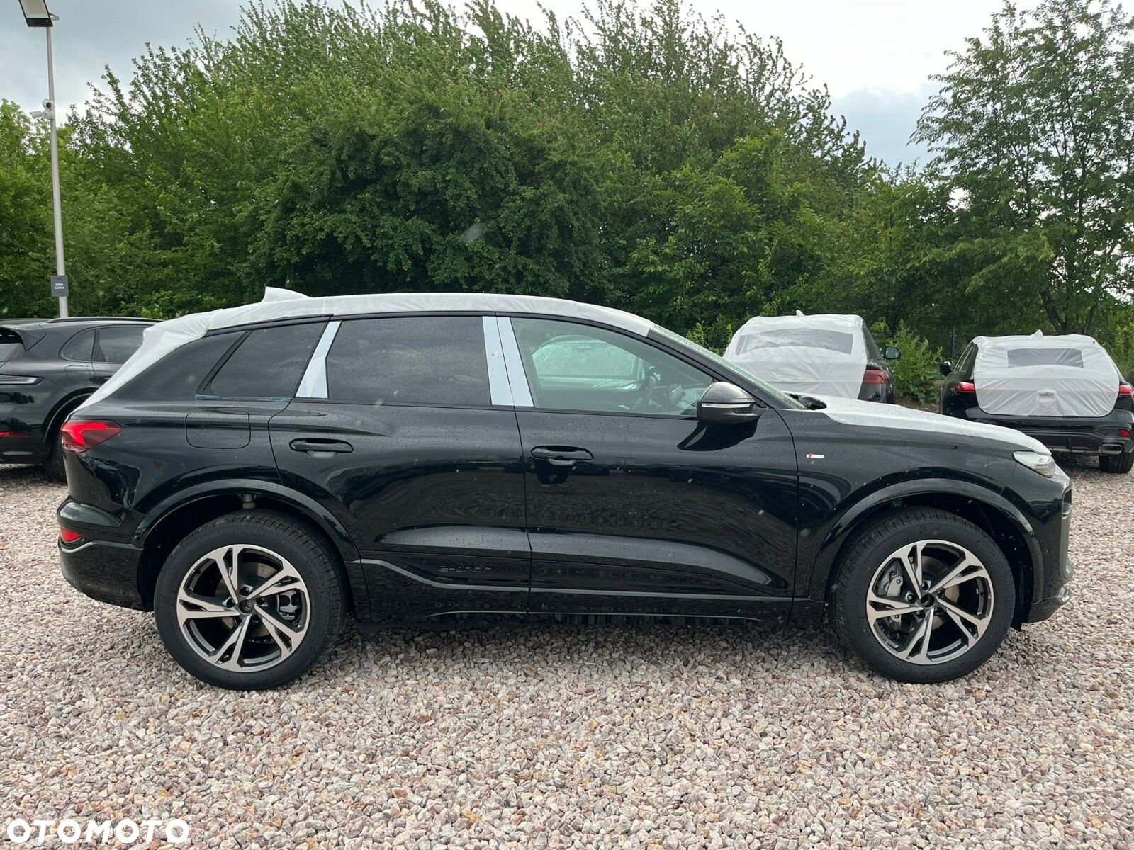 Audi Q6 - 7