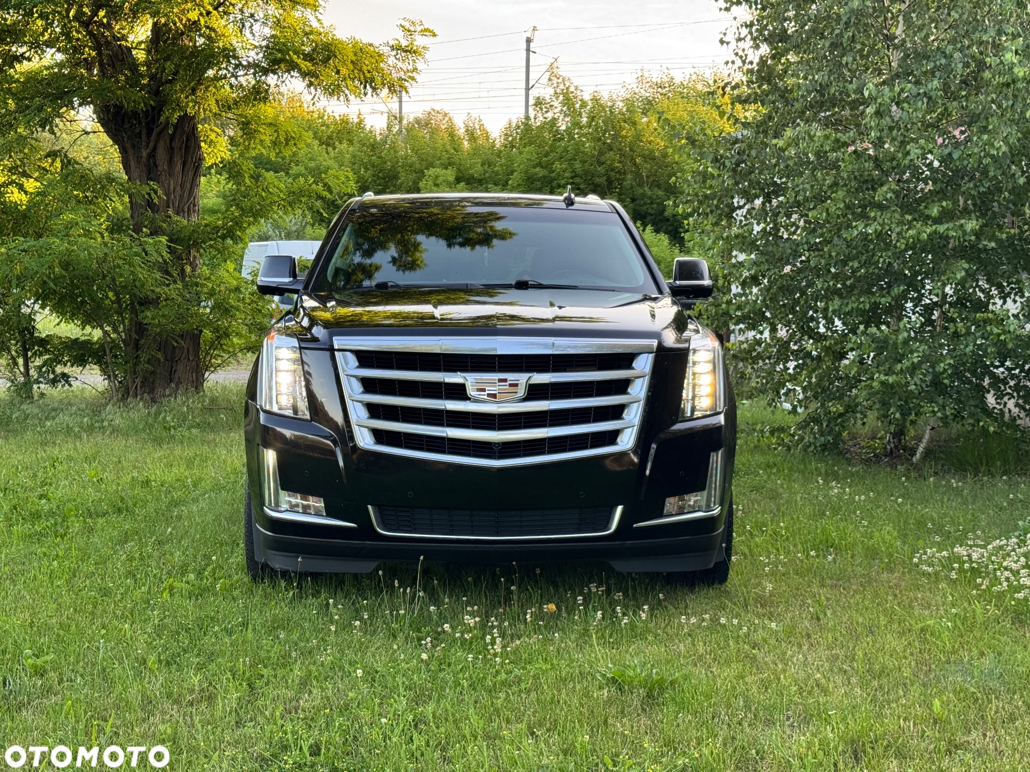 Cadillac Escalade 6.2 V8 AWD AT Premium - 16