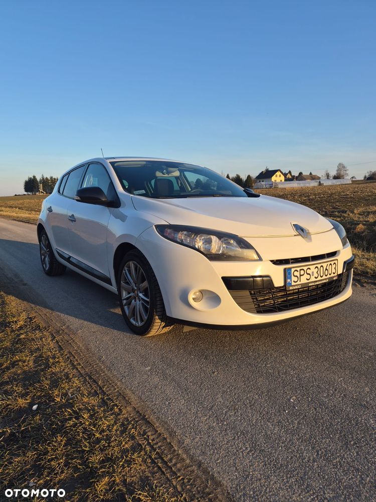 Renault Megane 1.9 dCi Color Edition - 6