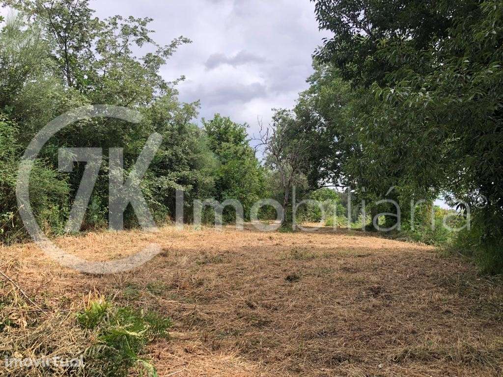 Terreno na Légua - Grande imagem: 5/13