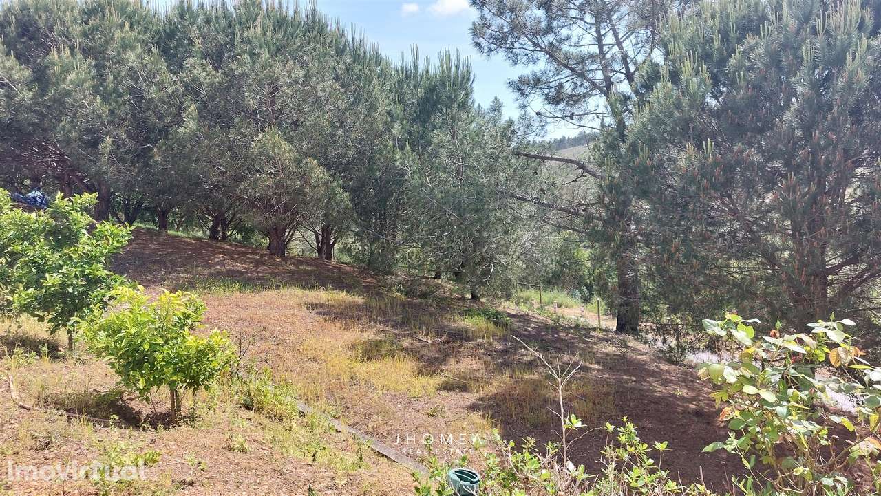 Moradia em Torres Vedras - Paúl - Grande imagem: 3/30