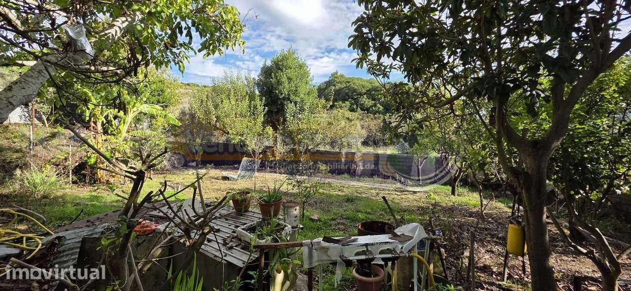 Terreno Agrícola em Bucelas (LXLR038) - Grande imagem: 3/33