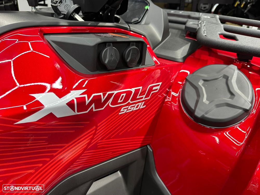 Loncin XWOLF 550 EXPLORER - 11