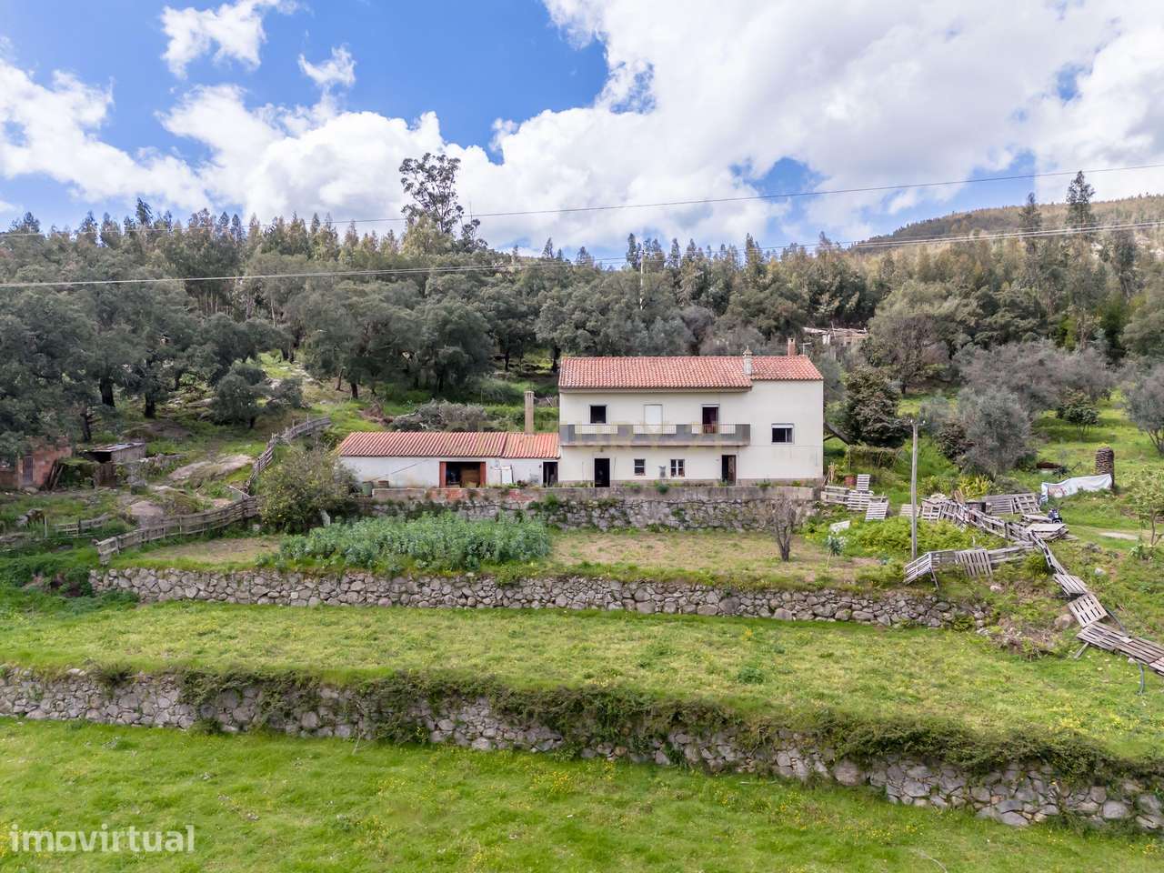 QUINTA COM 2,5 HECTARES EM ZONA CENTRAL DE MONCHIQUE - Grande imagem: 5/49