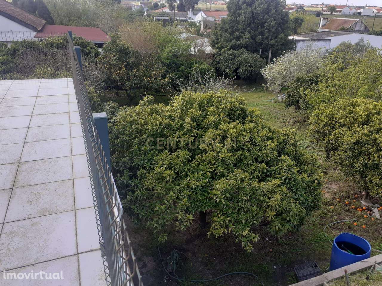 Exclusivo | Terreno com Benfeitorias em Santo Isidro de Pegões - Grande imagem: 3/14