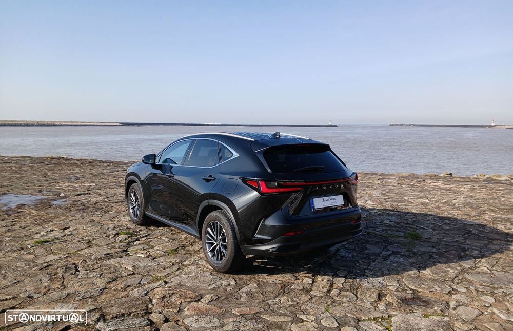 Lexus NX 450h+ - 5