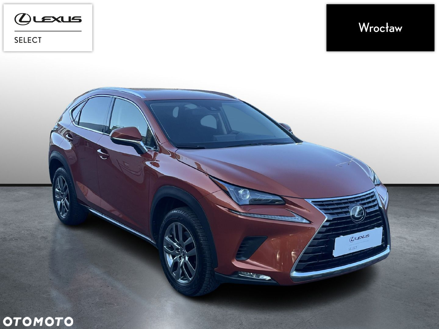 Lexus NX 300 Optimum AWD - 7