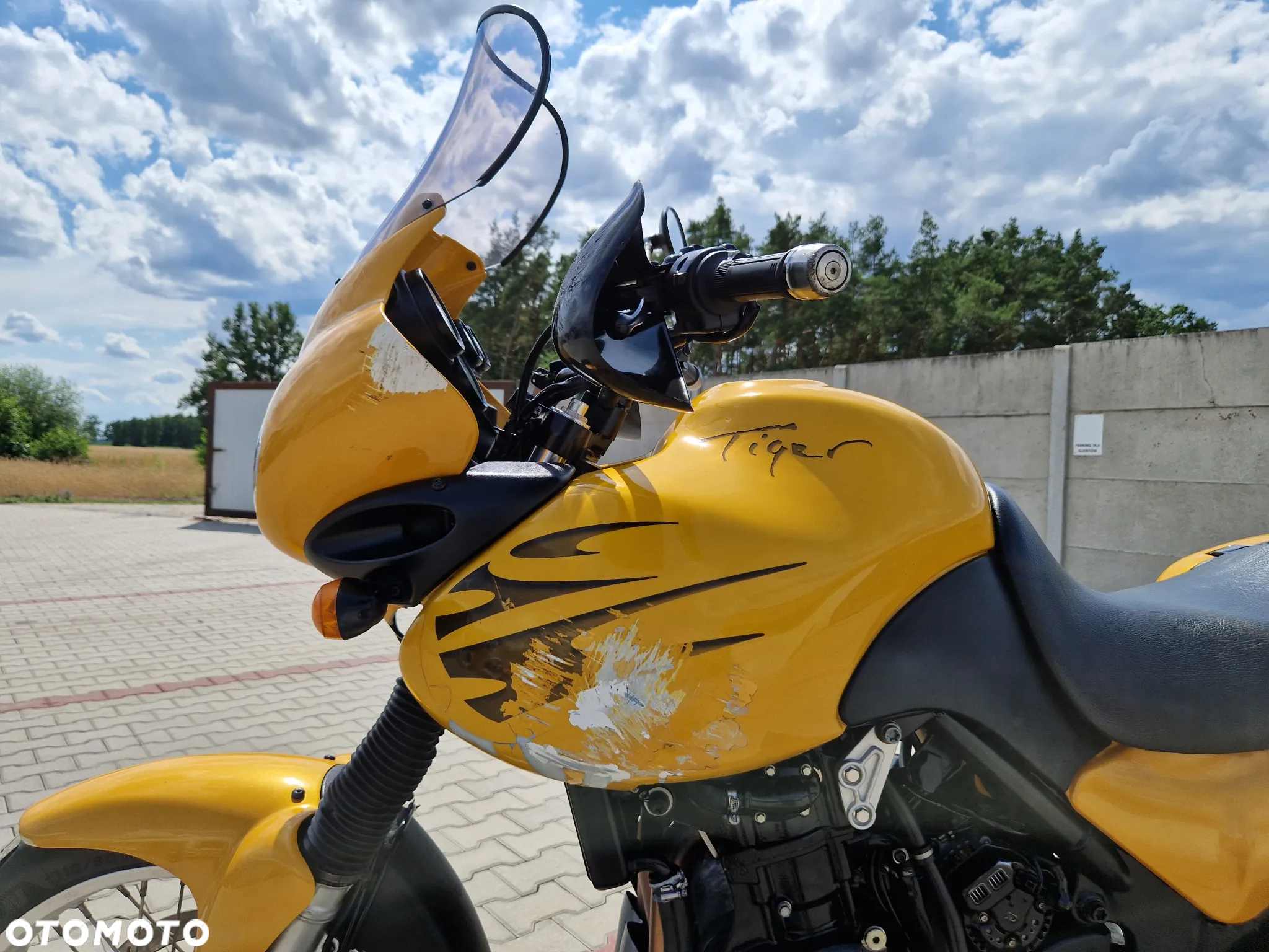 Triumph Tiger - 19