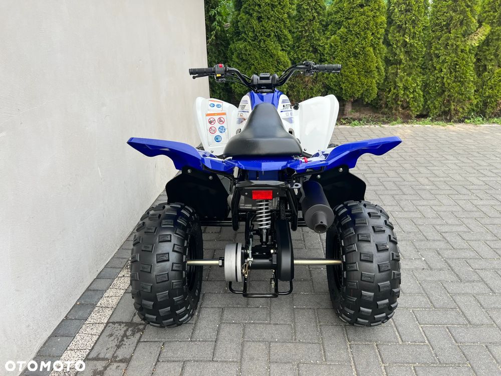 Yamaha Raptor - 8