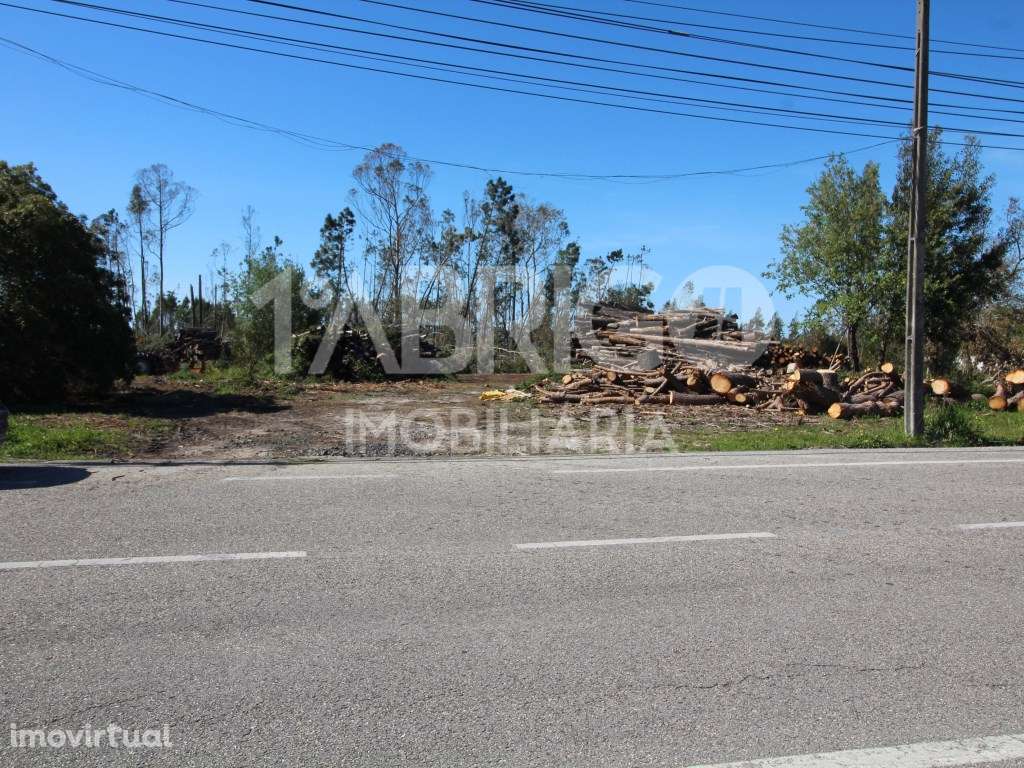 Venda de Terreno para Construção de empreendimento de moradias, Ped... - Grande imagem: 3/4