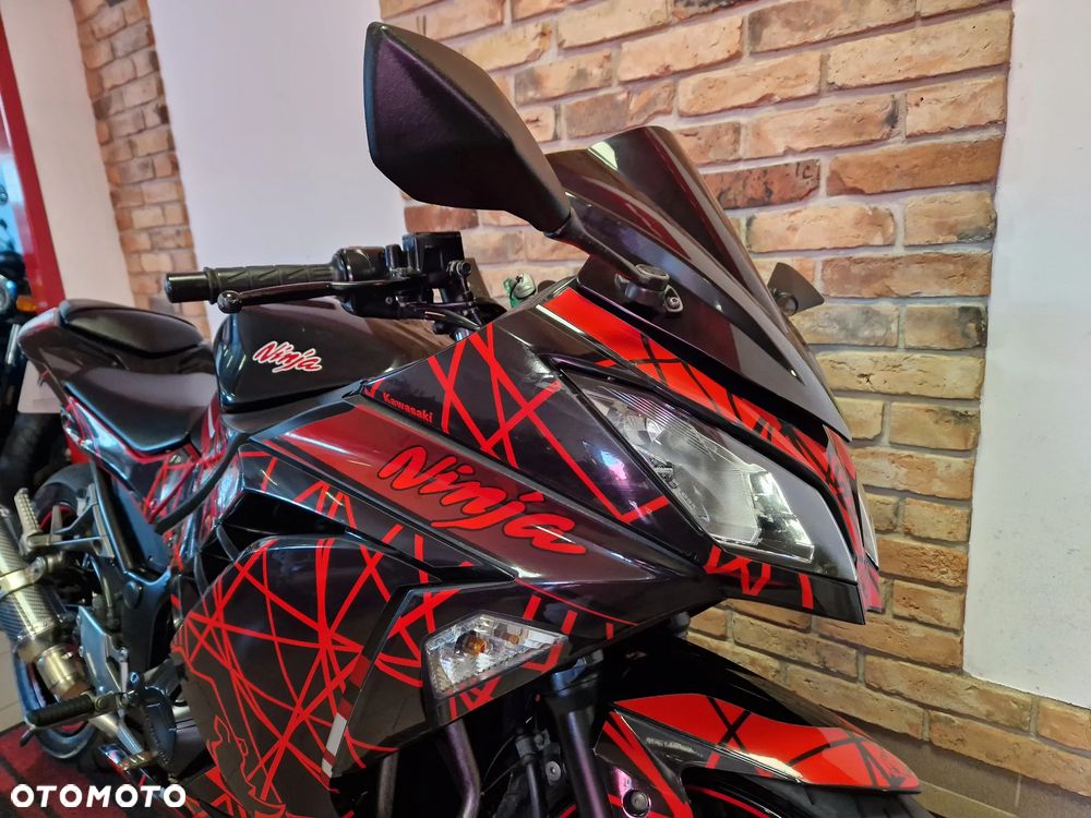 Kawasaki Ninja 300 ABS - 24