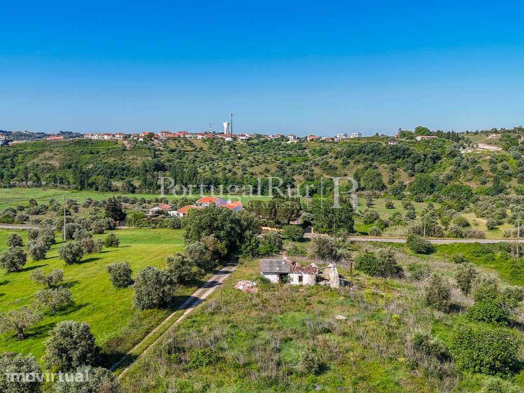 Conjunto de duas propriedades contíguas com 13 hectares, Torres Novas - Grande imagem: 3/49