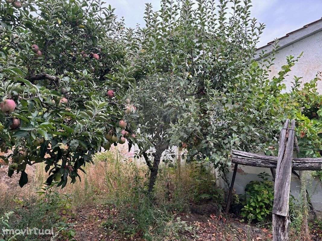 Terreno  para venda - Grande imagem: 2/12