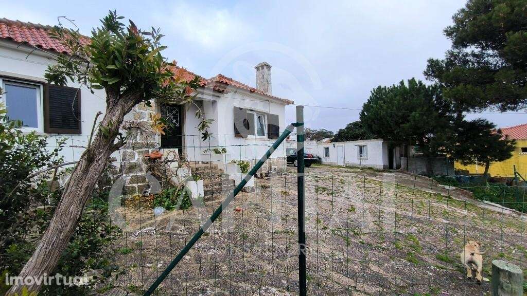 Oportunidade de Investimento Imobiliário – Albarraque | Sintra - Grande imagem: 2/13