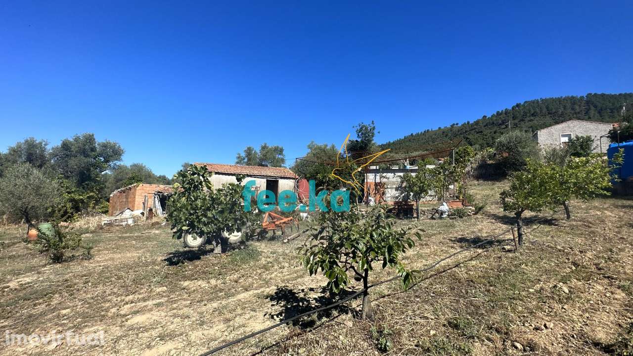 Quintinha em Monfortinho - Grande imagem: 2/36