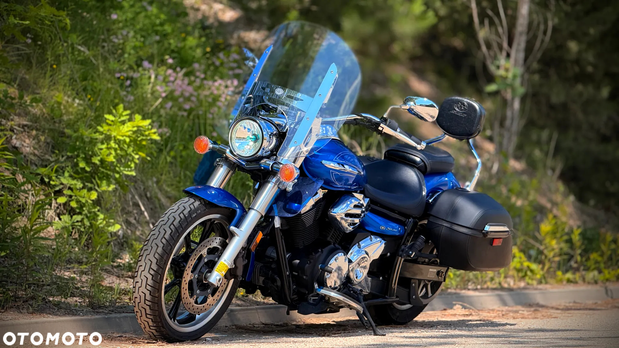 Yamaha XVS - 10