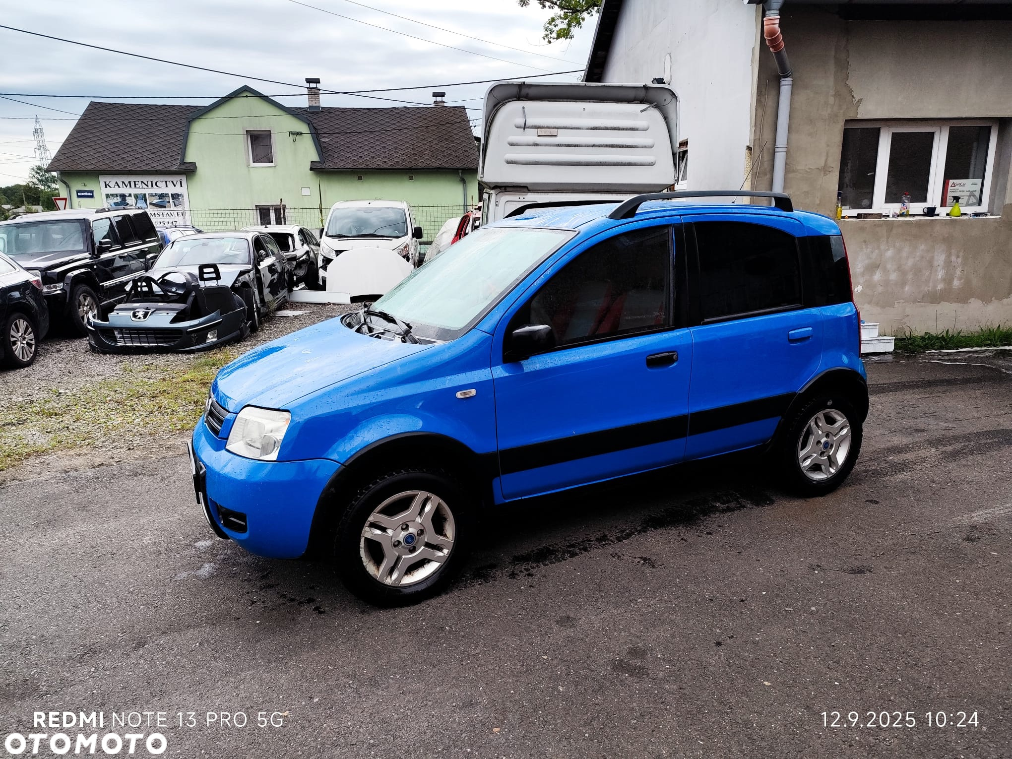 Fiat Panda 1.2 4x4 - 7