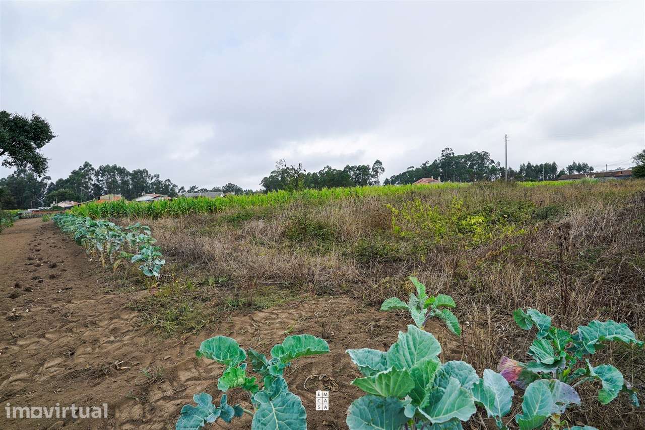 Terreno  Venda em São Miguel do Souto e Mosteirô,Santa Maria da Feira - Grande imagem: 4/20